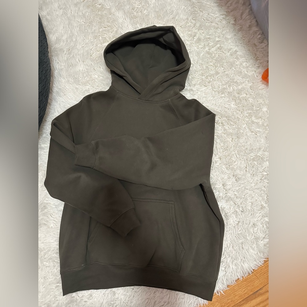 Aritzia Cozy Sweatfleece Mega Raglan Hoodie
